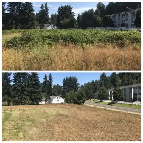 Blackberry land before and after