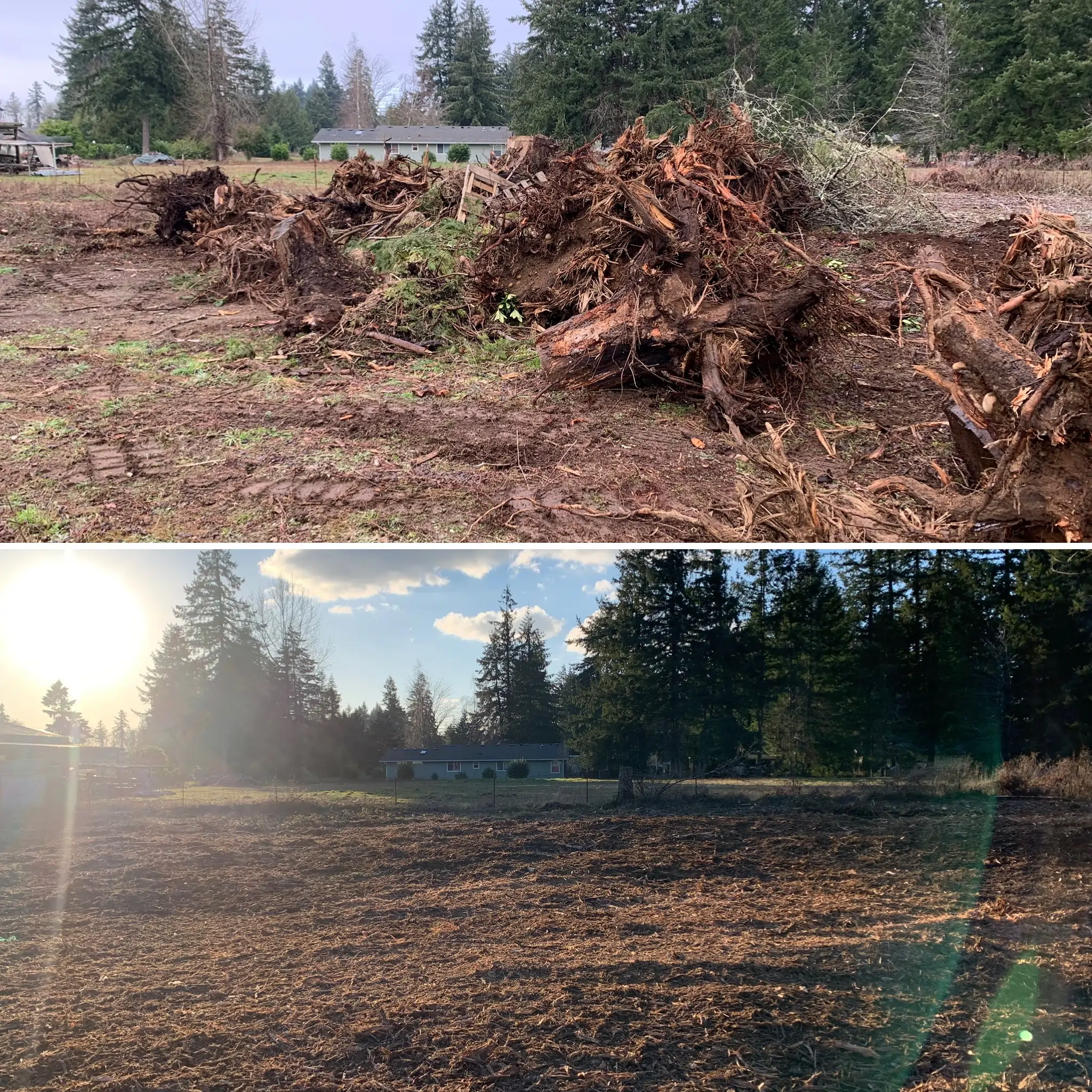 Stumps removed from land