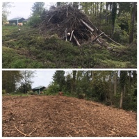 Land Clearing, Maple Valley, WA