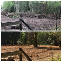 Pasture Clearing, Monroe, WA