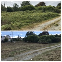 Land Clearing, Puyallup, WA