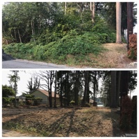 Lot Clearing, Ocean Shores, WA