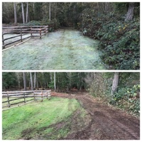 Fence Line Mowing, Duvall, WA