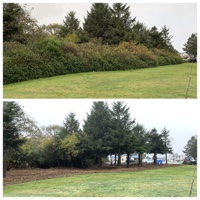 Lot Clearing, Ocean Shores, WA