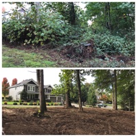 Brush Removal, Enumclaw, WA