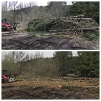 Logging slash clean up, Covington, WA