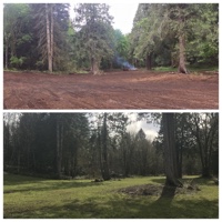 Pasture Restoration, Redmond, WA