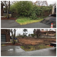 Lot Clearing, Gig Harbor, WA