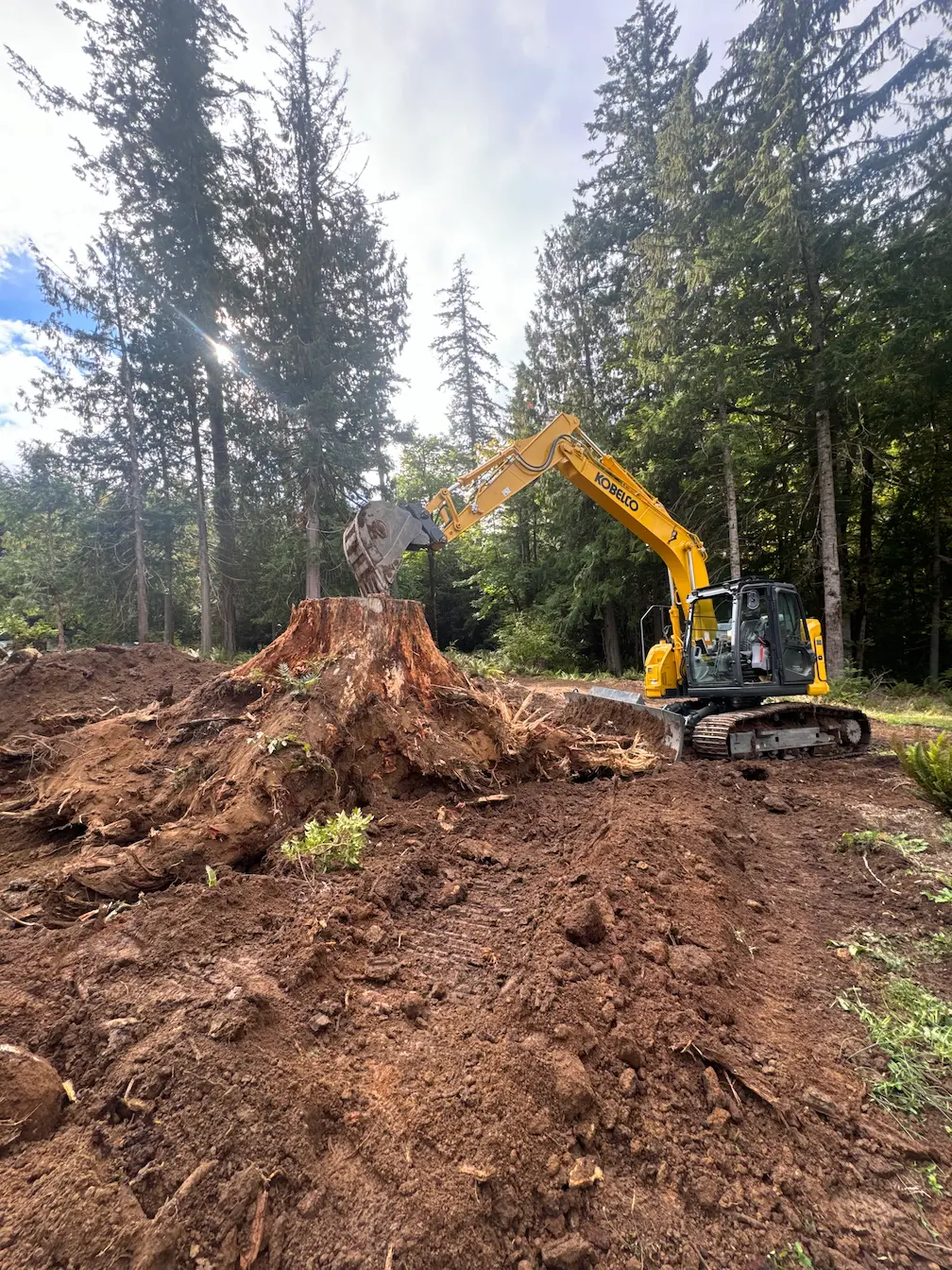 Stump Grinding