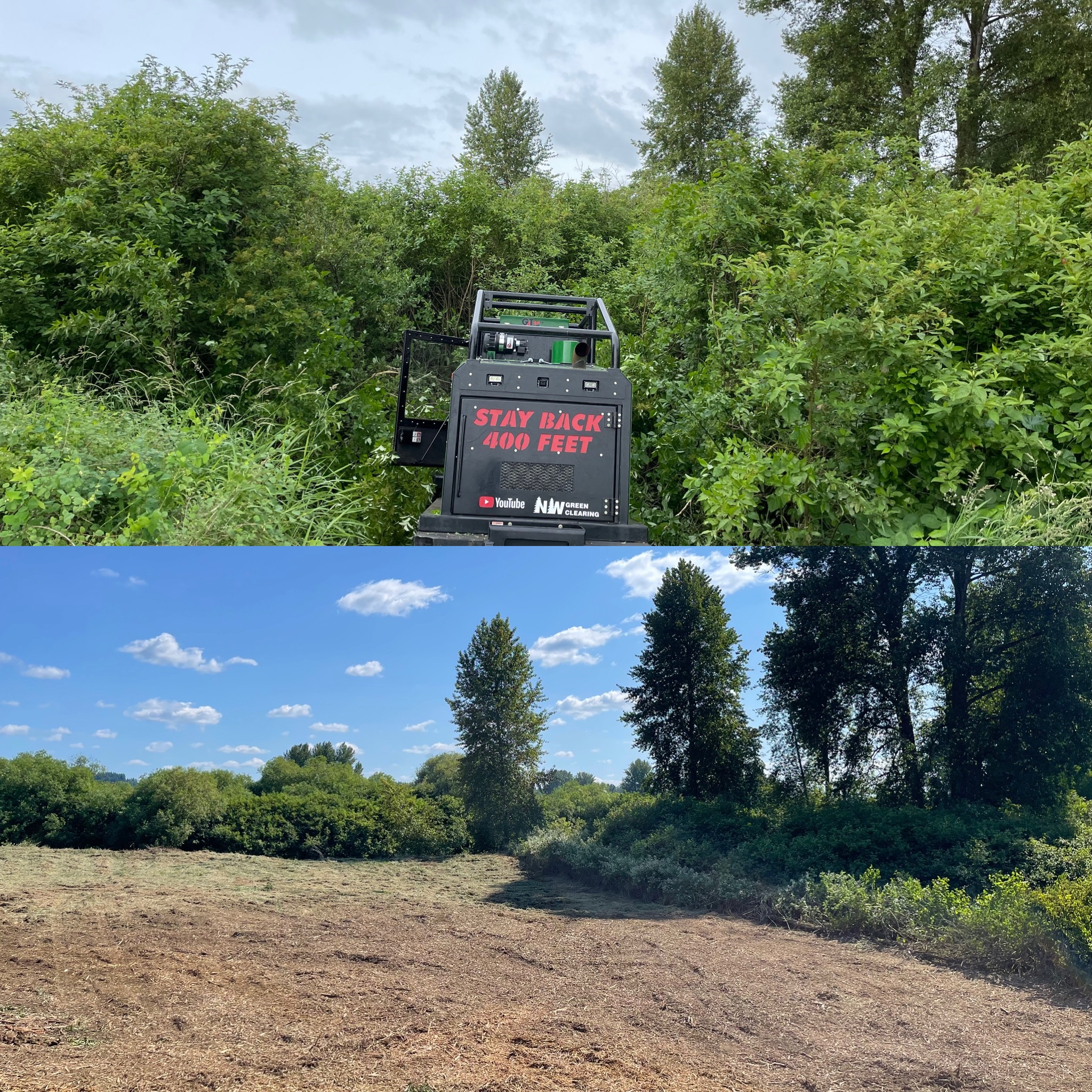 Forestry Mulching before and after.