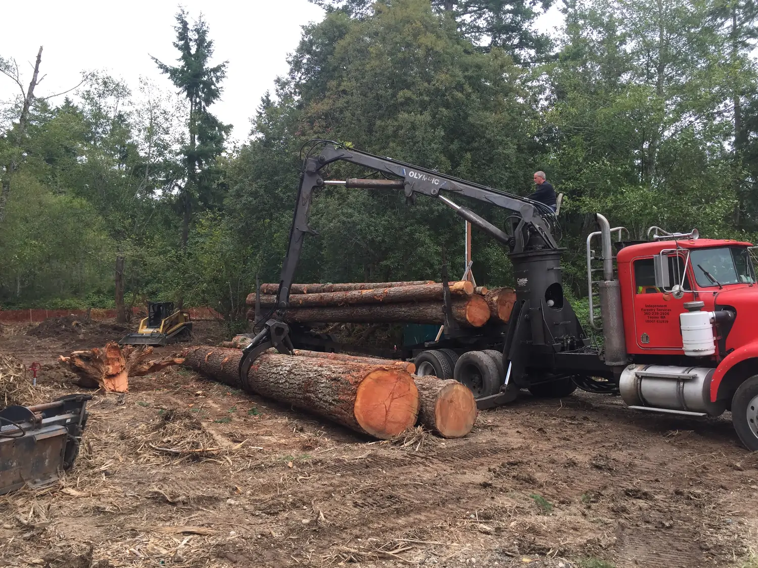 Truck picking up tree